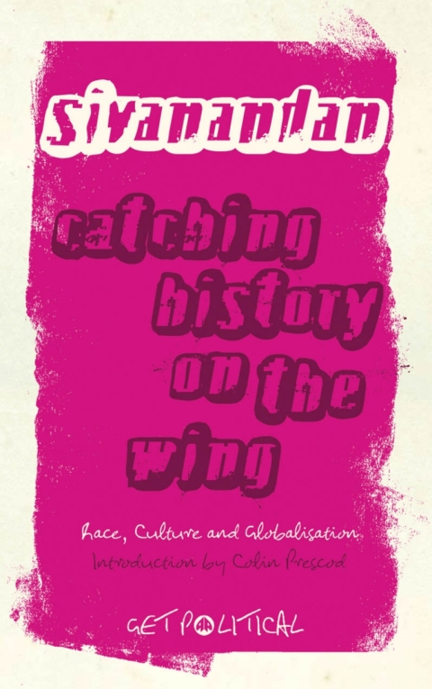 Cover image for book Catching History on the Wing