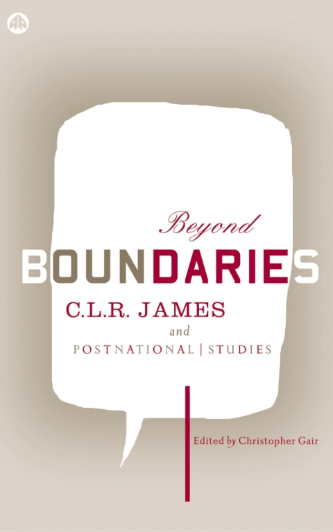 Cover image for book Beyond Boundaries