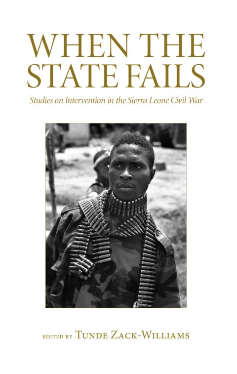 Cover image for book When the State Fails