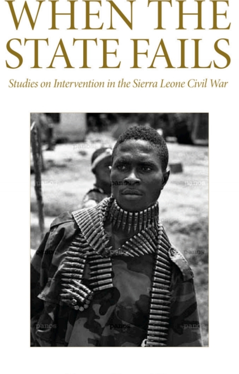Cover image for book When the State Fails