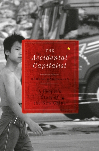 The Accidental Capitalist