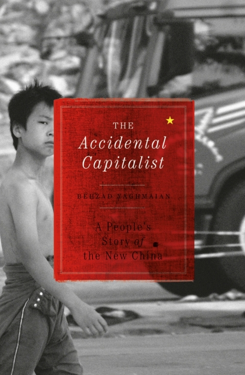 Cover image for book The Accidental Capitalist