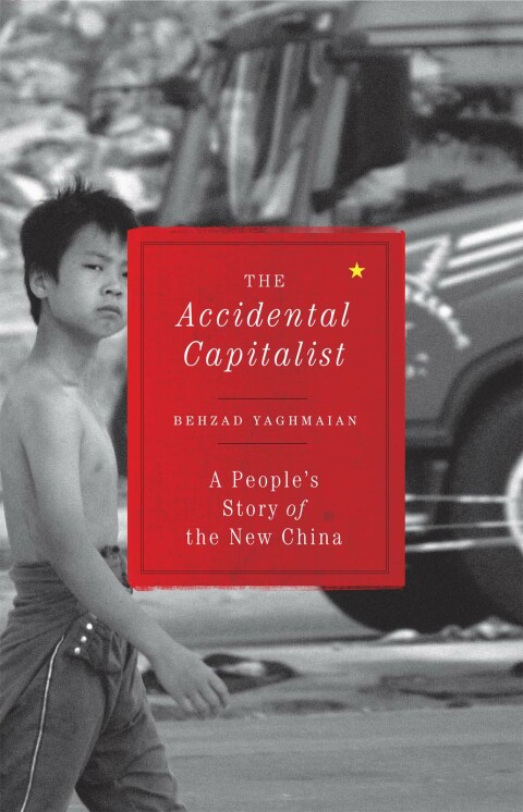 Cover image for book The Accidental Capitalist