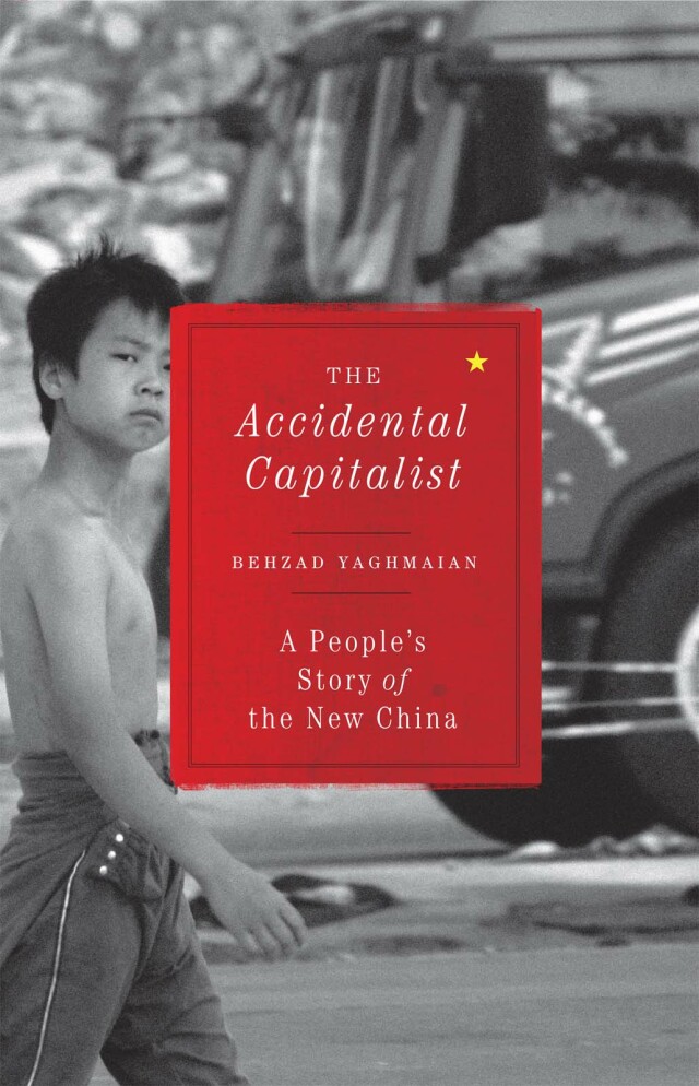 The Accidental Capitalist