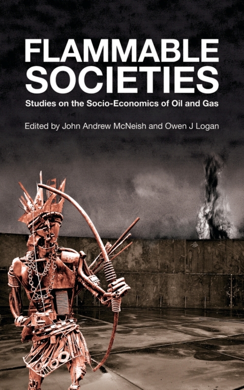 Cover image for book Flammable Societies