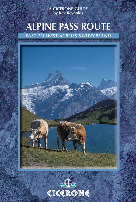 Cover image for book Alpine Pass Route