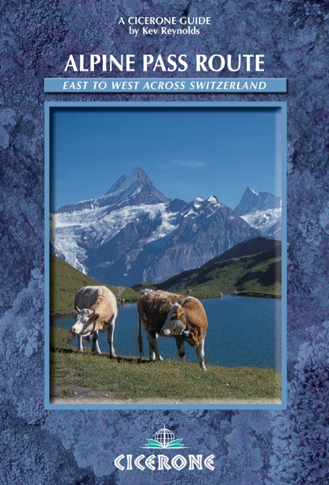 Cover image for book Alpine Pass Route
