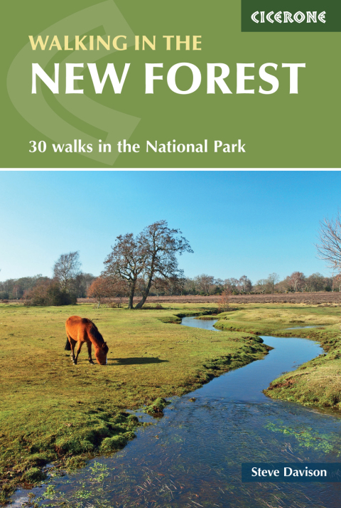 Walking in the New Forest 