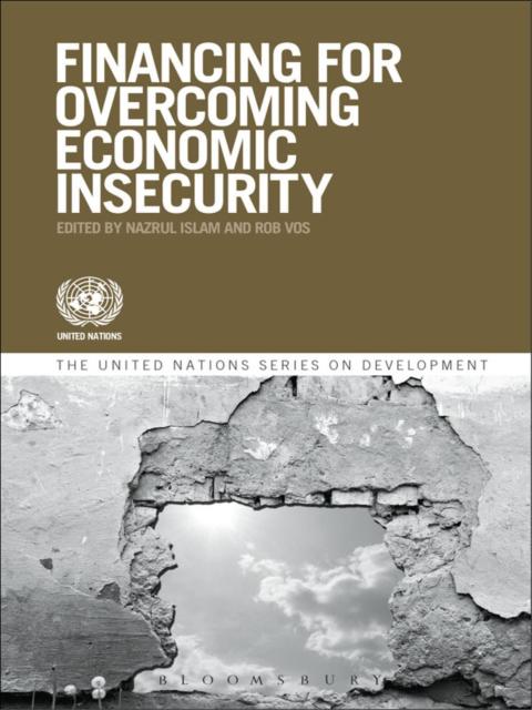 Cover image for book Financing for Overcoming Economic Insecurity