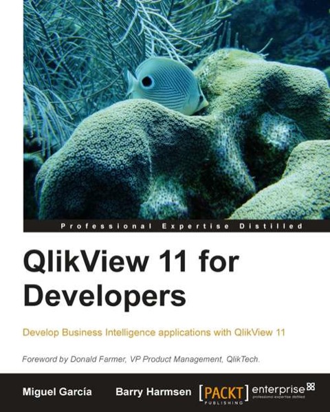 QlikView 11 for Developers 