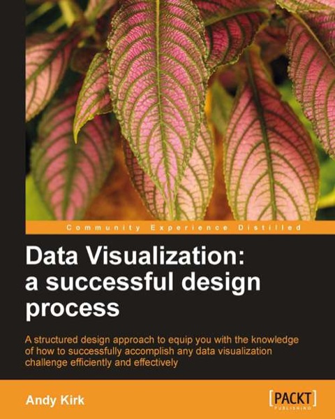 Cover image for book Data Visualization: a successful design process