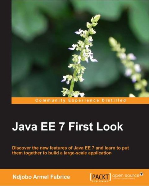 Cover image for book Java EE 7 First Look