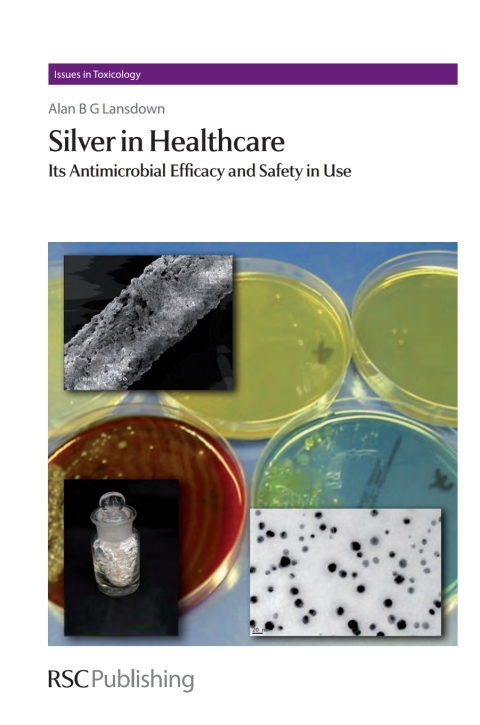 Cover image for book Silver in Healthcare