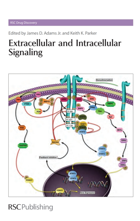 Cover image for book Extracellular and Intracellular Signaling