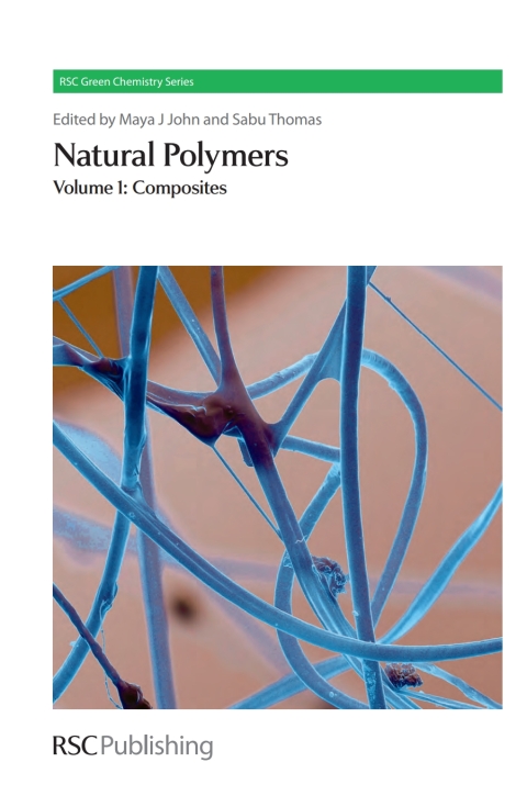 Cover image for book Natural Polymers