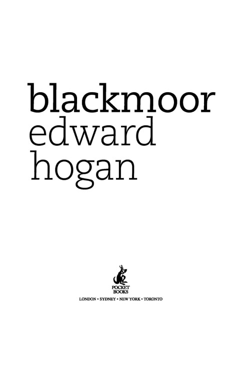 Cover image for book Blackmoor