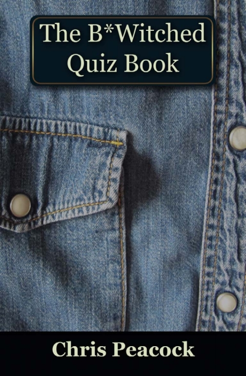 Cover image for book The B*Witched Quiz Book