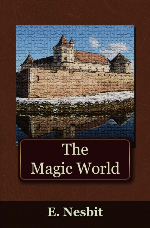 Cover image for book The Magic World