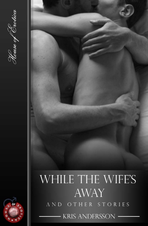 Cover image for book While The Wife's Away - And Other Stories