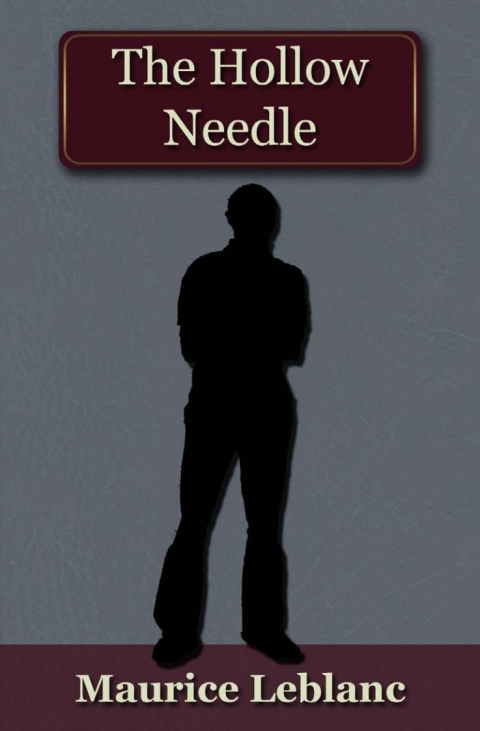 Cover image for book The Hollow Needle