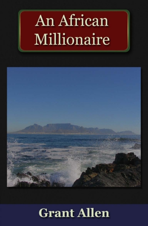 Cover image for book An African Millionaire