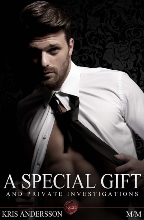 Cover image for book A Special Gift and Private Investigations