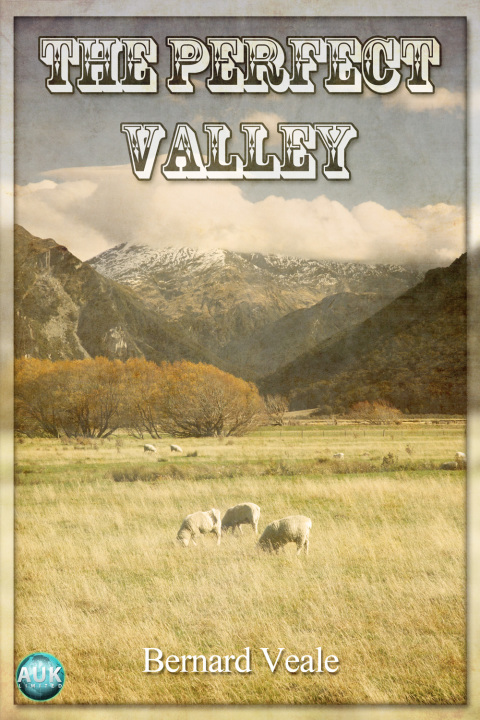 Cover image for book The Perfect Valley