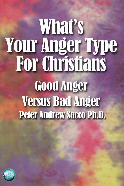 Cover image for book What's Your Anger Type for Christians