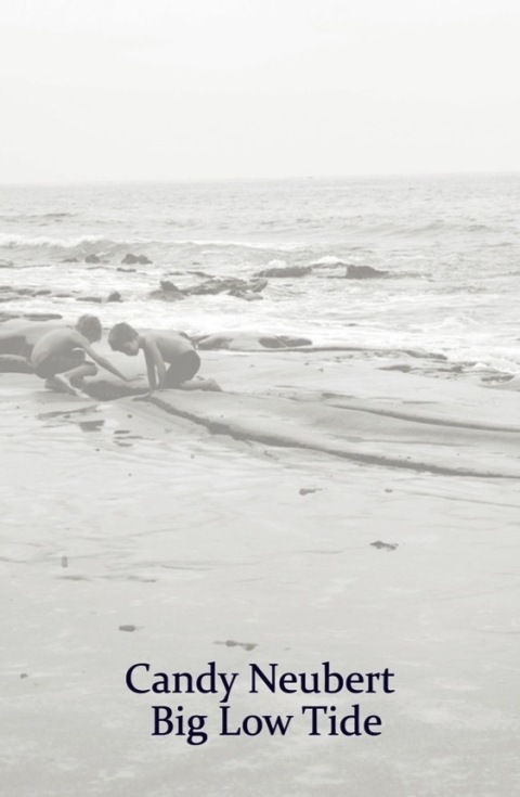 Cover image for book Big Low Tide