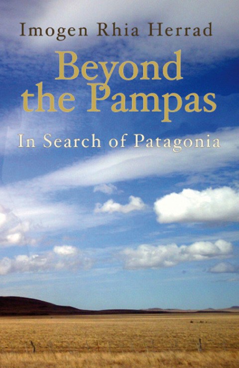 Cover image for book Beyond the Pampas
