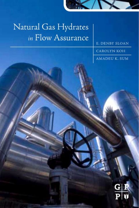 Cover image for book Natural Gas Hydrates in Flow Assurance