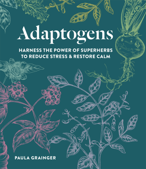 Cover image for book Adaptogens