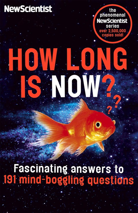 Cover image for book How Long is Now?