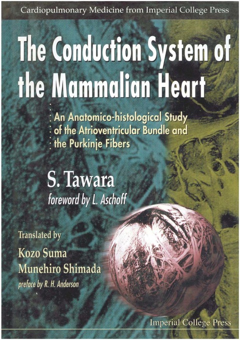 Cover image for book CONDUCTION SYSTEM OF THE MAMMALIAN...