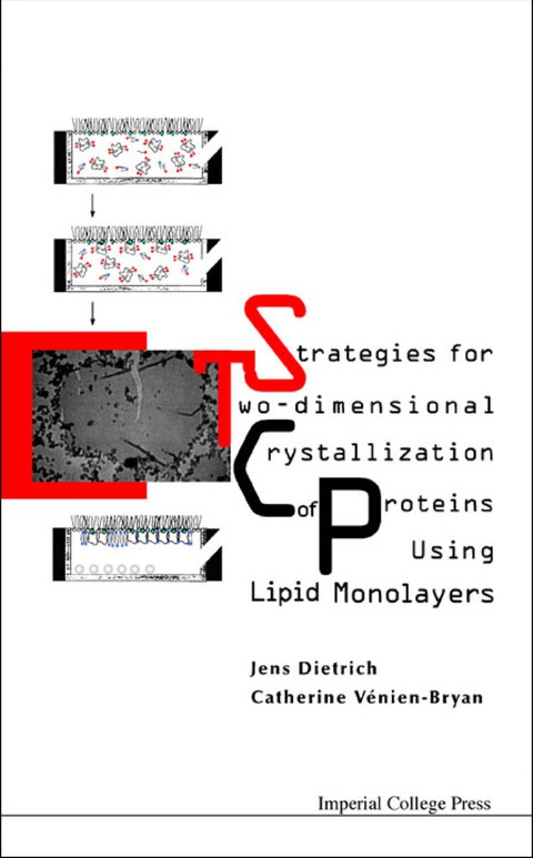 Cover image for book STRATEGIES FOR TWO-DIMENSIONAL CRYSTAL..