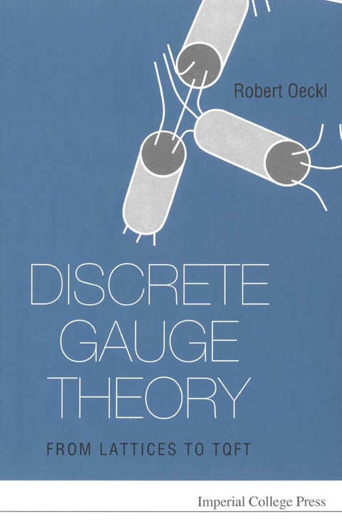 Cover image for book DISCRETE GAUGE THEORY