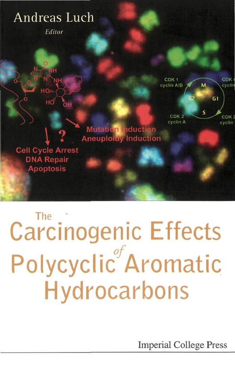 Cover image for book CARCINOGENIC EFFECTS OF POLYCYCLIC ARO..