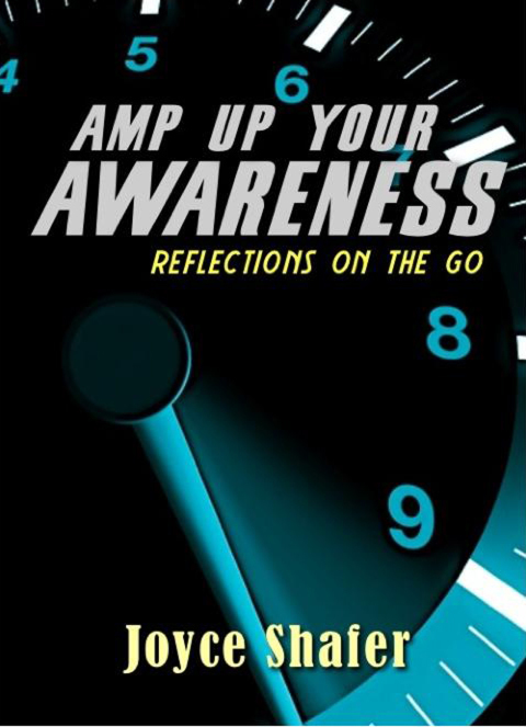 Cover image for book Amp Up Your Awareness