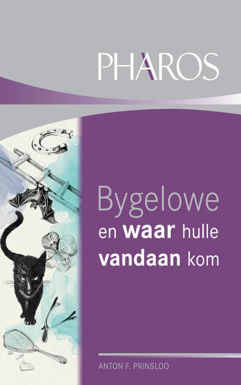 Cover image for book Bygelowe en waar hulle vandaan kom