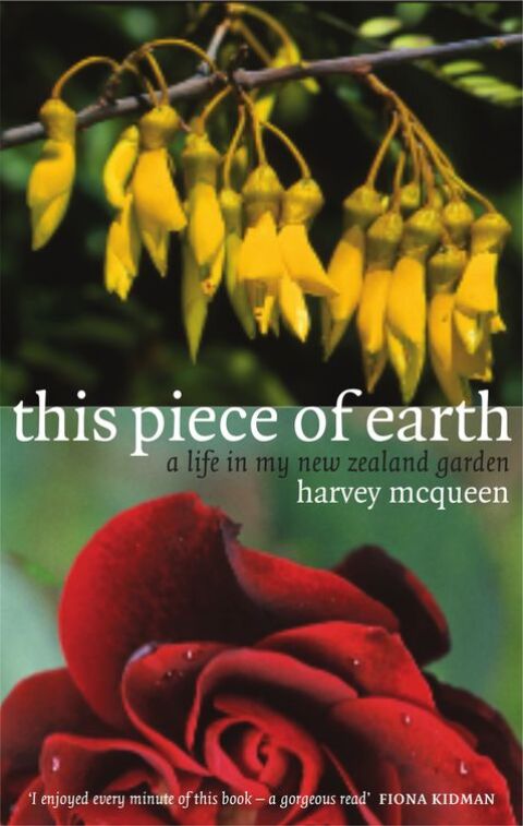 Cover image for book This Piece of Earth