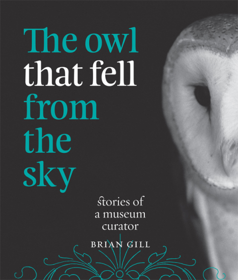 Cover image for book The Owl That Fell from the Sky