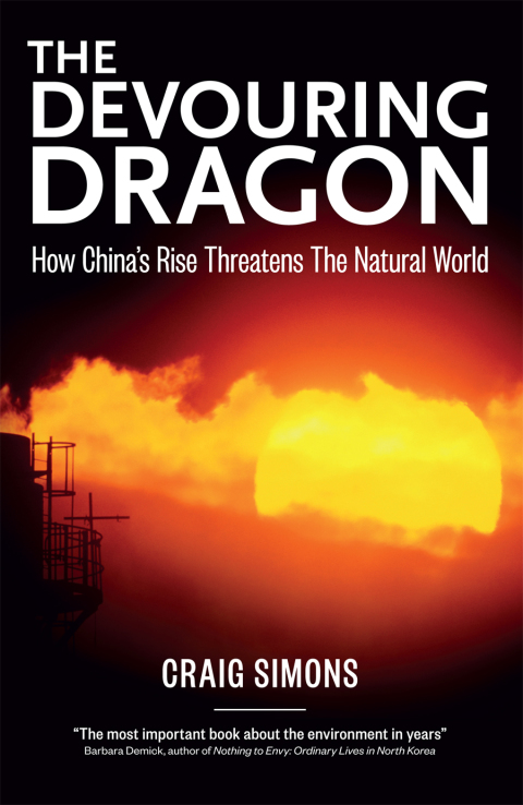 Cover image for book The Devouring Dragon