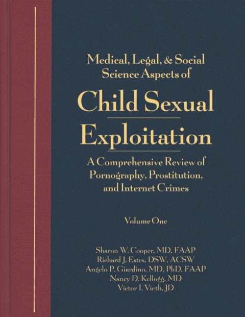 Cover image for book Child Sexual Exploitation