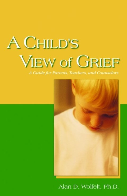 Cover image for book A Child's View of Grief