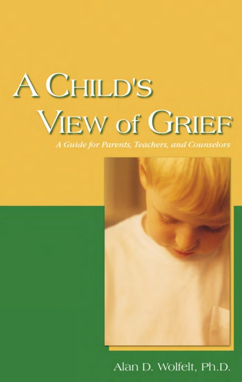 Cover image for book A Child's View of Grief