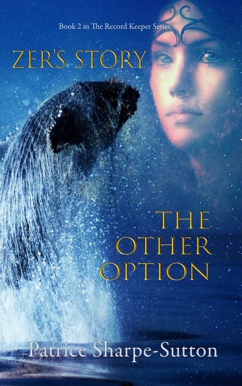 Cover image for book Zers Story