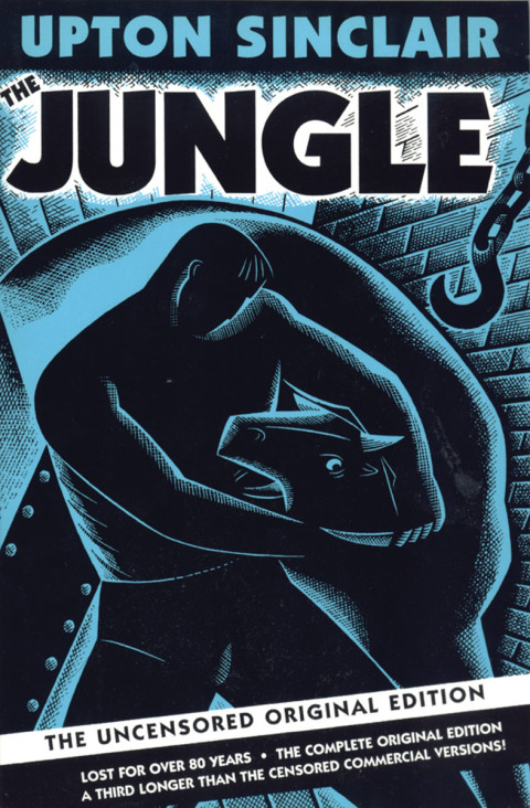 Cover image for book The Jungle