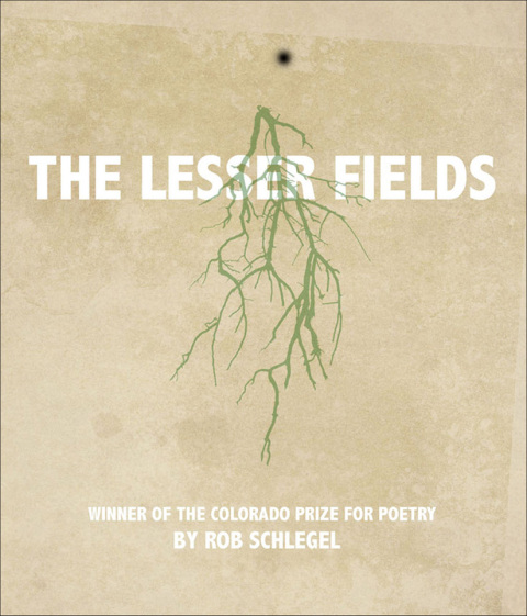 Cover image for book The Lesser Fields
