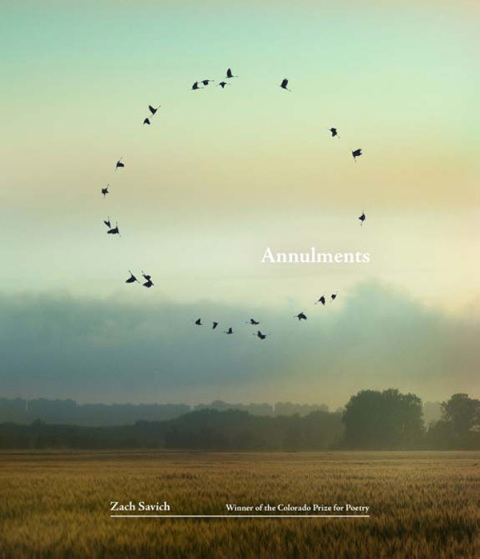Cover image for book Annulments