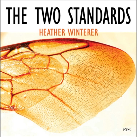 Cover image for book The Two Standards